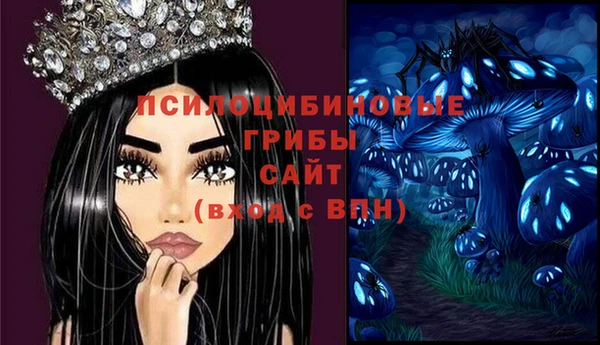 ешки Аркадак