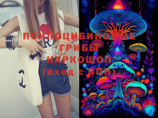 скорость Липки