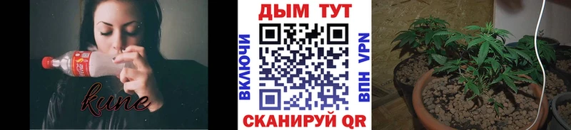 mega как зайти  Алдан  Марихуана AK-47  купить  